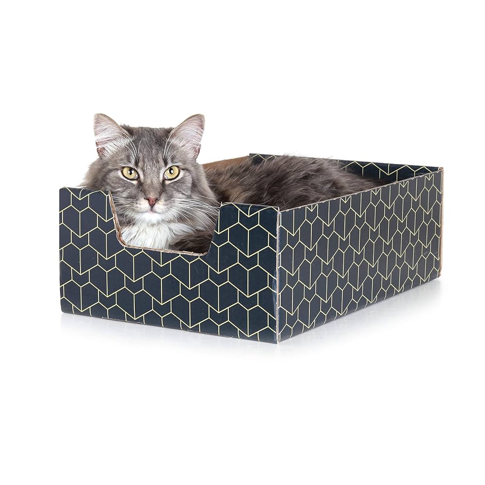 Dino Cat ソフビ Box Cat Series Cat® Roarin' Rex-Cavator - CAT